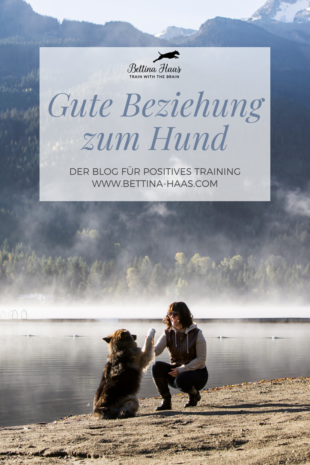 Gute Beziehung zum Hund Bettina Haas, Hundetraining Hersbruck