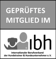 ibh logo